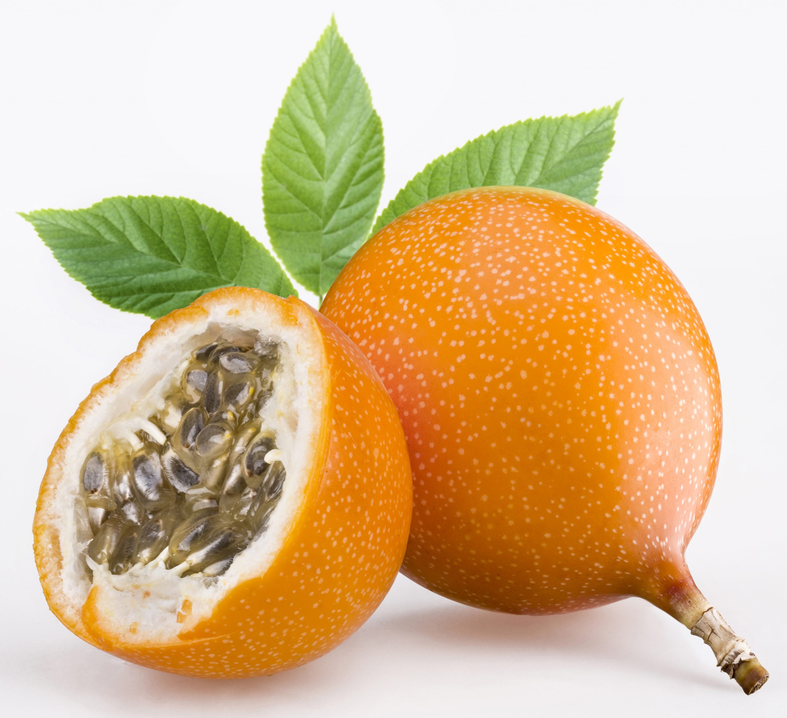 shutterstock_31365370
