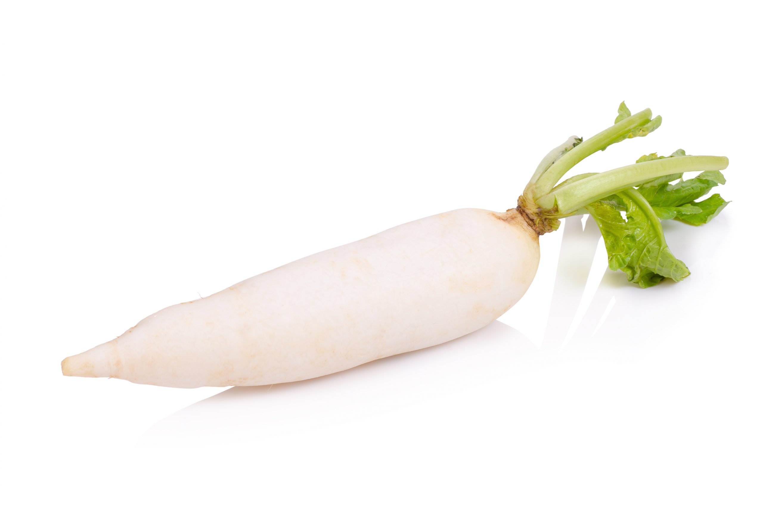 shutterstock_365158559