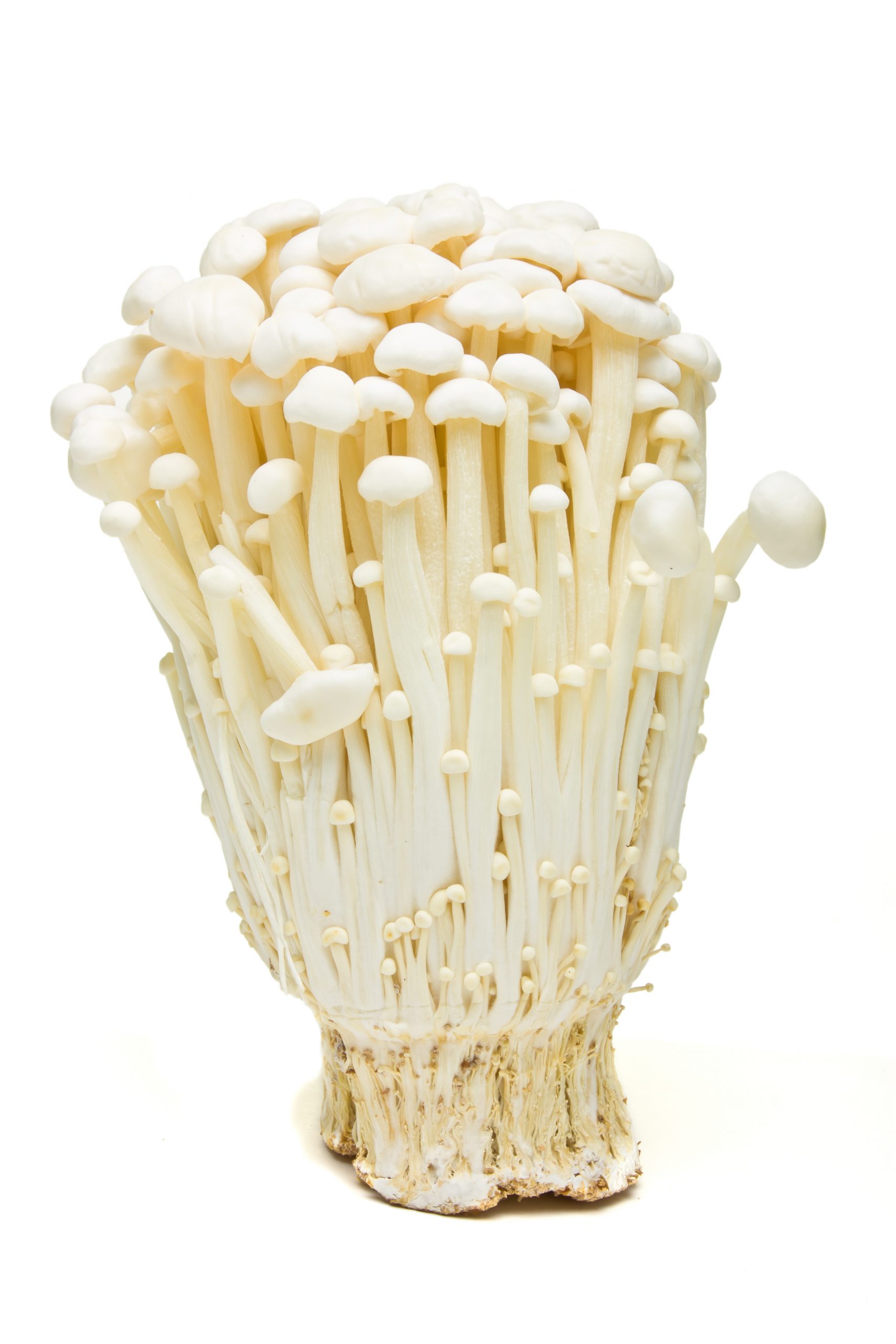 shutterstock_60176344