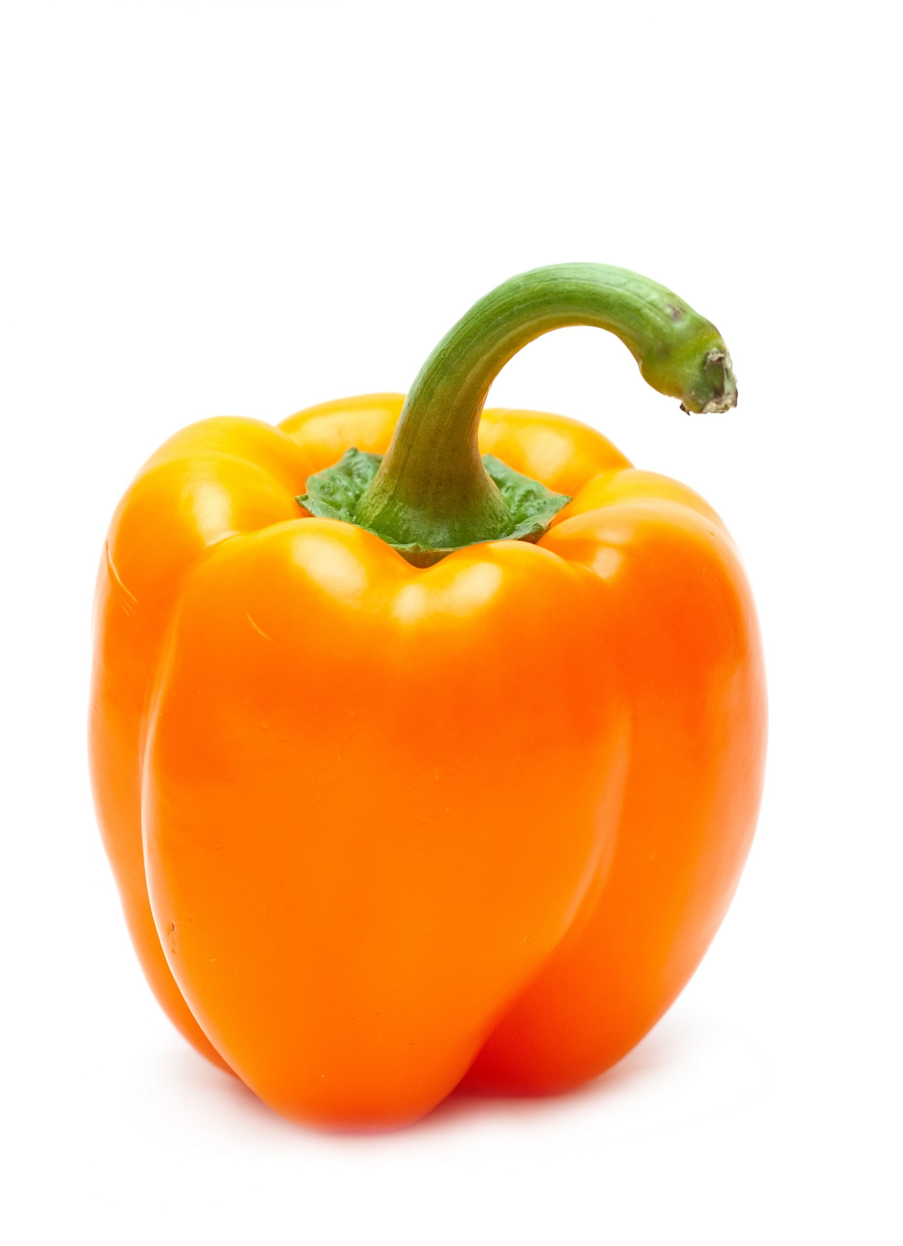 Paprika Oranje Roelandt